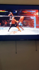 Video game footage captured showing UFC fighting gameplay in Arlington