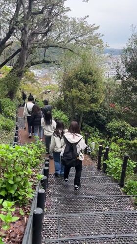 Two trains meet at Kamakura station during morning commute