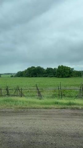 The video depicts a rural scene under an overcast sky. A dirt road runs along the bottom of the frame. To the left of the road is a sparse, wooden fence, appearing somewhat dilapidated. Beyond the fence is a large, green field dotted with wildflowers. In the distance, a line of trees defines the horizon. The overall impression is of a quiet, possibly remote, landscape.