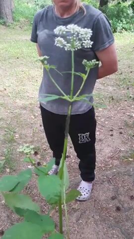 A person in a grey t-shirt and black sweatpants with white crocs stands in a wooded area holding a plant with white flowers and green leaves. Another hand reaches out from the bottom of the frame to touch a leaf on the plant. The ground is covered in dirt, leaves, and pinecones.