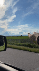 Vehicle passenger films rural Bulgarian countryside near Загорци