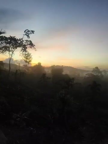 The video shows a sunrise over a misty, forested hillside. The sky transitions from deep blue at the top to orange and yellow near the horizon. Silhouettes of trees and vegetation are visible in the foreground, with a hazy landscape stretching into the distance. The mist creates a soft, diffused light, obscuring details of the environment and lending a serene, almost ethereal quality to the scene. There are no people or discernible objects of human construction apart from what may be distant utility poles or structures lost in the haze. The overall impression is one of a tranquil, natural setting at the dawn of a new day.