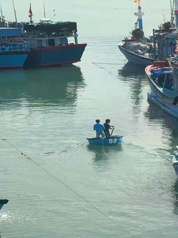 Two people navigate a small, round blue boat, numbered "02", through a calm body of water, likely a harbor or bay. One person is at the front, and the other is at the back, operating a paddle or pole to propel the boat. The water reflects the bright daylight, appearing a greenish-blue. Several larger, colorful fishing boats are docked on both sides of the frame, surrounding the smaller vessel. Some of the larger boats display what appears to be the Vietnamese flag. The scene depicts a peaceful moment of maritime activity in a sunny, clear environment.