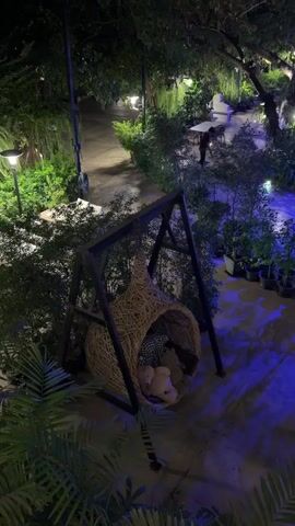 This is a nighttime aerial view of an outdoor seating area that appears to be a restaurant or cafe. The scene is illuminated by decorative lighting, casting a blue glow on the paved ground and surrounding lush greenery. In the foreground, a unique swing seat shaped like a woven basket, containing several teddy bears, is prominently featured. A pathway winds through the garden, leading to various seating arrangements with tables and chairs. In the background, a person is visible walking in the distance. The presence of potted plants and trees suggests a well-maintained garden space. The overall ambiance is serene and inviting, with the dim lighting creating a cozy and possibly romantic atmosphere. The time of day is clearly night, and the weather appears to be clear, suitable for outdoor dining. The location context places this scene in Ban Phonsavang Neua, Laos. There is no visible text in the media file.