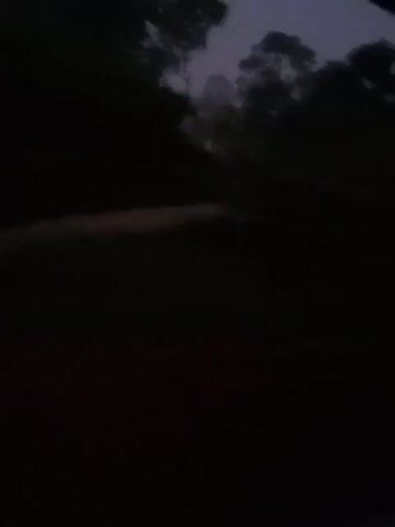 The video is dark and shaky, suggesting it was filmed at night with a handheld camera. The scene appears to be outdoors, possibly a residential area, as a building with lights on is visible in the background. The overall impression is one of low visibility and a lack of clear detail.