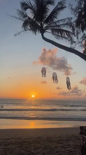 Choeng Thale sunset beach, plus chickens by a scooter