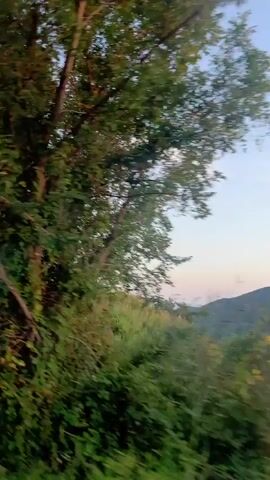 The video shows a blurry view from a moving vehicle, looking out over a roadside embankment. The embankment is covered in green foliage and some rocky, gravelly areas. The sky above is a clear blue with a few wispy white clouds. In the background, trees can be seen, also appearing blurred due to the motion. The overall impression is of a scenic drive through a natural landscape.