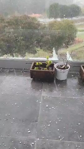 The video shows a balcony during a hailstorm. The balcony has a glass railing and gray tile flooring. Several potted plants are arranged along the edge of the balcony. Hailstones are visible on the tile floor and splattering against the glass railing. Outside the railing, a landscape of trees and fields is visible in the distance under a gray sky. The hailstorm appears to be occurring in the foreground, with visibility diminishing further away. There are no people visible in the video.
