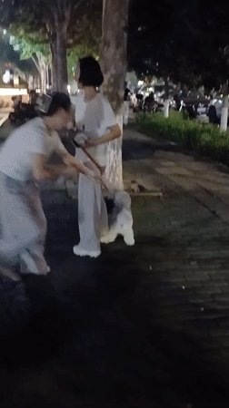Traditional dance performance in Jiulongpo District plaza draws crowd