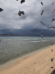 Tourist documents Indonesian beachfront bar with ocean views