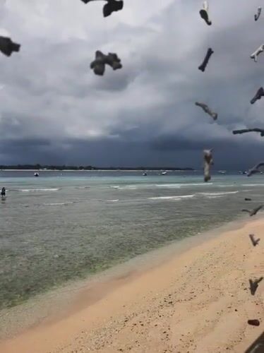 Tourist documents Indonesian beachfront bar with ocean views