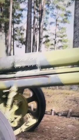The video shows a close-up, side view of an old, camouflaged artillery piece. The object is green and yellow with visible rust and wear. It has large spoked wheels, a barrel, and various mechanical components. In the background, there are tall, thin trees, suggesting an outdoor, wooded environment. The ground appears to be covered in dirt and pine needles. There is also a sign on the left side of the frame with text and a green background. Another artillery piece is visible in the distance. The video appears to be a slow pan or a static shot of the artillery piece.