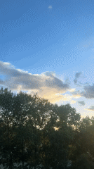 Family barbecue day with grilled meat and afternoon activities