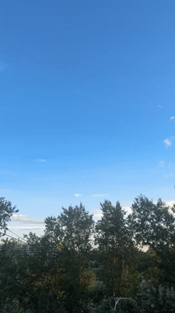 Family barbecue day with grilled meat and afternoon activities