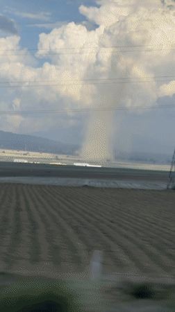 Dust devil spotted over farmland near Independencia, Mexico