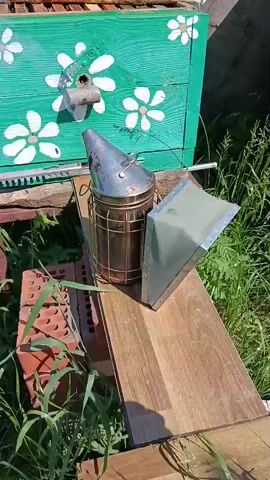 The video begins with a close-up of a stainless steel bee smoker positioned next to a brightly painted green beehive. The beehive has a decorative pattern of white flowers. A hand reaches into the frame and gently touches the smoker. The camera then pans up to reveal the opened top of the beehive, showing numerous wooden frames stacked inside. Smoke is seen wafting from between these frames. The camera zooms in further, offering a detailed view of the bees and the honeycomb structures within the frames. The environment appears to be outdoors, with hints of greenery and foliage visible in the background. The sunlight suggests it is daytime. The scene depicts the process of tending to a beehive, likely using the smoker to calm the bees before inspection.