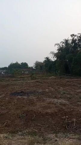 The video displays an overhead view of a cultivated field. The ground appears to be recently tilled, with dark soil and some scattered debris. In the background, there are trees, vegetation, and some distant buildings. The sky is overcast, suggesting it might be early morning or late afternoon. The video seems to be a continuous pan across the landscape, showing the expanse of the field and its surroundings. There are no people or animals visible in the video.