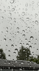 Rain observed from vehicle in Tallinn, Estonia