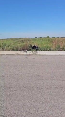 The video shows an exterior view of a rural roadside on a clear day. The foreground consists of an asphalt road with a concrete curb and a grassy verge beyond it. The verge contains dry vegetation and a black drainage pipe. Further in the background, there is a field of dry grass and some trees, with a building visible in the distance. The sky is clear and blue.