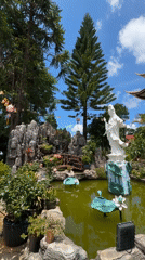 Temple pond with lotus pads captured in Lạc Dương
