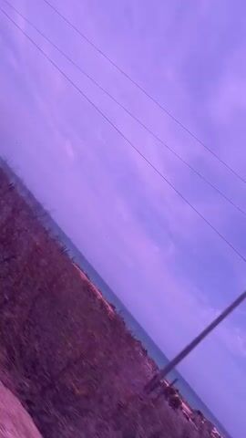 The video shows a landscape with sparse vegetation, cacti, and a body of water visible in the background. The sky is a vibrant purple hue, possibly due to a filter or editing. Overhead, power lines stretch across the sky. The camera appears to be moving, as the scene is slightly blurred.