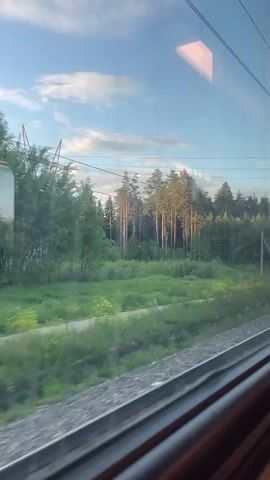 The video captures a serene view from inside a moving train, looking out a window at the passing countryside near Gribanovo, Russia. The scene depicts a sunny late afternoon or early evening with a clear blue sky dotted with white clouds.

In the foreground, train tracks are visible alongside a strip of green grass and a dirt path. Power lines and utility poles periodically pass by, indicating the train's movement. Beyond the tracks, a lush forest dominates the landscape, composed of both tall pine trees and dense deciduous foliage. The sunlight gently illuminates the tops of the trees, casting a warm glow. The overall impression is one of peaceful travel through a natural, rural environment. No specific text is visible within the video frame.