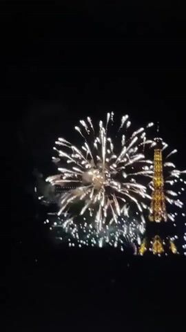 A nighttime view of the Eiffel Tower with fireworks exploding in the sky. The tower is illuminated in gold and a series of white fireworks are bursting around its upper half. Below the tower, a body of water reflects the light. To the left of the tower, a building with illuminated windows is visible. The sky is black and appears to be clear.