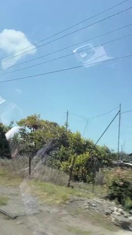 The video shows a view from a moving vehicle, likely a car or bus, looking out the window. The sky is clear and blue with some electrical wires visible. On the left, there's a power pole and some trees. In the middle ground, there are more trees, a fence, and a pile of gravel. The vehicle passes by a building with a tiled facade, arched entrances, and a palm tree. Further along, another building with a light-colored upper story and a tiled lower story is visible. The video continues with a view of more trees and then a house with a light-colored upper story and a dark-tiled roof. A green fence is in the foreground. The overall impression is a drive through a semi-urban or suburban area with vegetation and residential buildings.