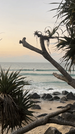 Dawn beach scenes captured at Coolangatta by multiple witnesses