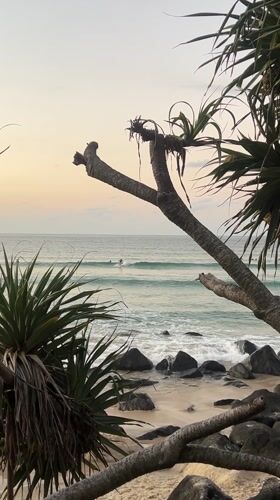 Dawn beach scenes captured at Coolangatta by multiple witnesses