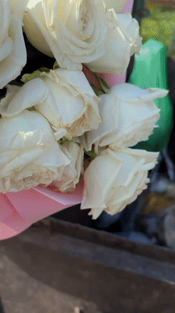 White rose bouquet discarded in dumpster in Veliky Novgorod