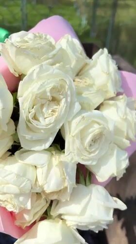 White rose bouquet discarded in dumpster in Veliky Novgorod