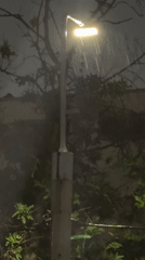 Evening rain shower illuminates residential Tashkent neighborhood