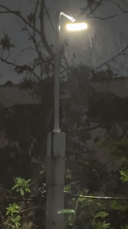 Evening rain shower illuminates residential Tashkent neighborhood