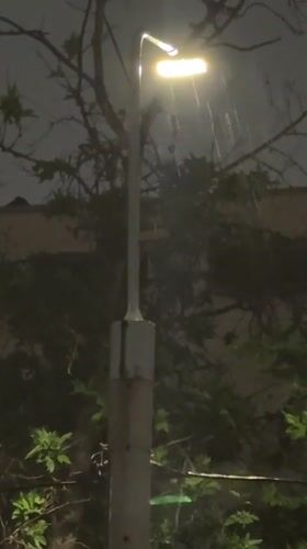 Evening rain shower illuminates residential Tashkent neighborhood