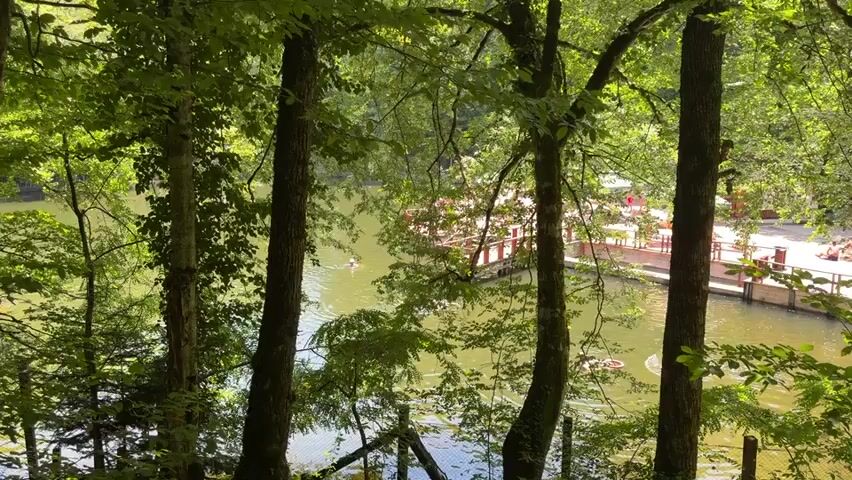 The video captures a serene outdoor scene with lush green foliage in the foreground, framing a calm body of water. Several trees with dense leaves dominate the left and center of the frame, creating a dappled sunlight effect. Through the trees, a wooden dock or platform is visible extending into the water. The platform is adorned with red structures and what appear to be lounge chairs or tables, suggesting a recreational area. Several people are in the water, some swimming and others appearing to be relaxing near the dock. The water is a greenish hue, reflecting the surrounding greenery. The overall atmosphere is peaceful and appears to be a sunny day at a lake or reservoir.