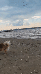 Cloudy beach day in Perm, Russia, storms rolling in