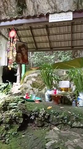 A video shows a shrine built into a rocky cave or alcove. The shrine is dedicated to Mae Nang Non, as indicated by a sign that reads "Shrine of Mae Nang Non." In the background, a large statue of a reclining Buddha is visible, draped in a green cloth. In front of the statue, a small altar is set up with various offerings, including flowers, candles, and what appear to be bottles of liquid. Two vases filled with tall green plants flank the altar. To the left of the altar, a framed picture hangs, depicting a man and a woman. Decorative hanging ornaments are suspended from the roof of the shelter. The ground in front of the shrine is covered in mossy rocks and vegetation.