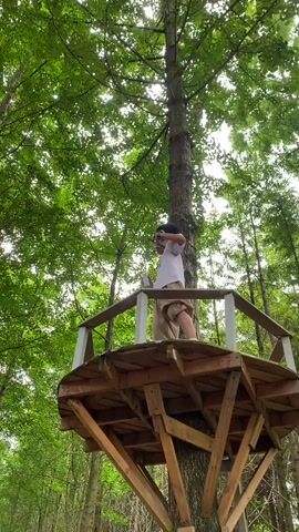 A person is standing on a wooden platform in a tree. They are wearing a white t-shirt and khaki shorts. The person is holding a phone in their right hand and appears to be taking a picture or video. The platform is supported by wooden beams attached to the tree trunk. The background is a dense forest with tall trees and green leaves. The lighting suggests it is daytime.