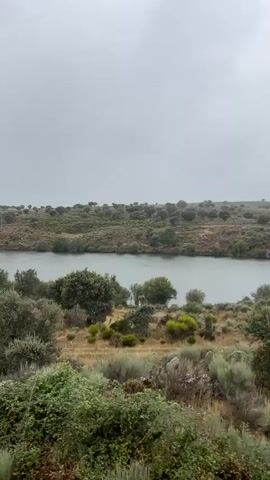 The video captures a panoramic view of a landscape with a body of water in the background. The foreground is filled with dry grasses and various bushes and trees. The sky is overcast with gray clouds, suggesting a cloudy or possibly rainy day. The terrain appears to be hilly and covered with vegetation. The camera is moving, giving a sense of exploration or travel through this environment. There are no people or animals visible in the footage. The scene is natural and undeveloped, with a sense of wilderness.