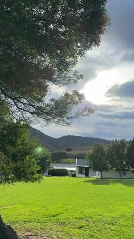 The video shows a large tree with a thick trunk in the foreground. The camera moves slowly up the tree, eventually showing the sun shining through the leaves. In the background, there is a green lawn, a white building, and hills. The sky is cloudy with patches of blue. There are no people visible in the video.