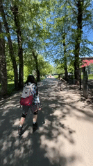 Early morning recreational activities captured in Krasnoyarsk parks