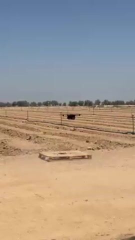The video shows a quadcopter drone ascending into the sky from a field of parallel furrows. The field is dirt with irrigation lines running along the furrows. In the distance are trees and a clear blue sky. In the foreground, a wooden pallet sits on a dirt patch. The drone starts close to the pallet and rises towards the middle of the frame. A voice is heard speaking Hebrew.