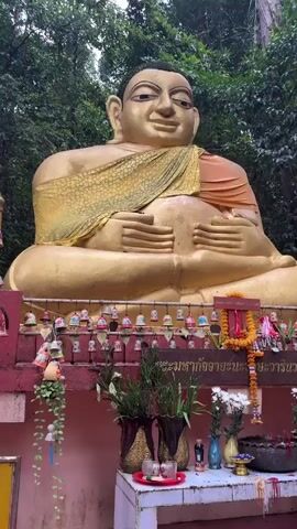 A close-up shot focuses on a large, golden Buddha statue. The statue is seated, with its right hand resting on its lap and its left hand tucked beneath. A yellow and gold patterned cloth is draped over the statue's shoulder. Below the statue, a row of small, colorful bells hangs from a red structure. In front of the bells, several potted plants with green leaves and white flowers are arranged. Further down, a small, dark creature, possibly a beetle or a snail, is visible on the golden surface near the Buddha's left hand. The background is blurred, suggesting foliage or trees. The lighting is somewhat dim, creating a serene atmosphere.