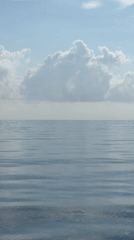 Woman observes calm ocean from resort railing in General Luna