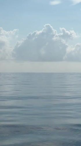 Woman observes calm ocean from resort railing in General Luna