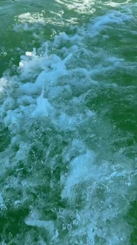 A first-person perspective video shows the wake of a boat moving through green water. The camera is pointed down and slightly to the side, showing foamy white water churning behind the vessel. The shoreline, with trees, is visible in the distance. A dark object, likely the side of the boat, is visible on the right edge of the frame.