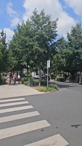 The video shows a paved road with a crosswalk in the foreground. On the left side of the road, a sidewalk with trees lines the street, and a group of four people are walking on it. A bin and a signpost are also visible on the sidewalk. Further down the road, more trees and buildings can be seen. On the right side of the road, there is a building with a stone facade and a wooden garage door. A car is driving on the road, and a few traffic signs are posted. The sky is blue with some white clouds.