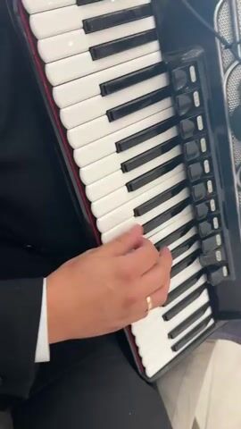 A close-up shot focuses on a person's hands playing an accordion. The accordion has white and black keys, with red trim around the edges. The person's left hand is positioned on the keys, and a gold wedding ring is visible on their ring finger. The person is wearing a black suit jacket and a white shirt. The background is blurred, but appears to be an indoor setting. The audio consists of accordion music.