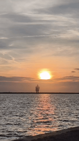 Golden sunset reflects over calm Dutch waterway